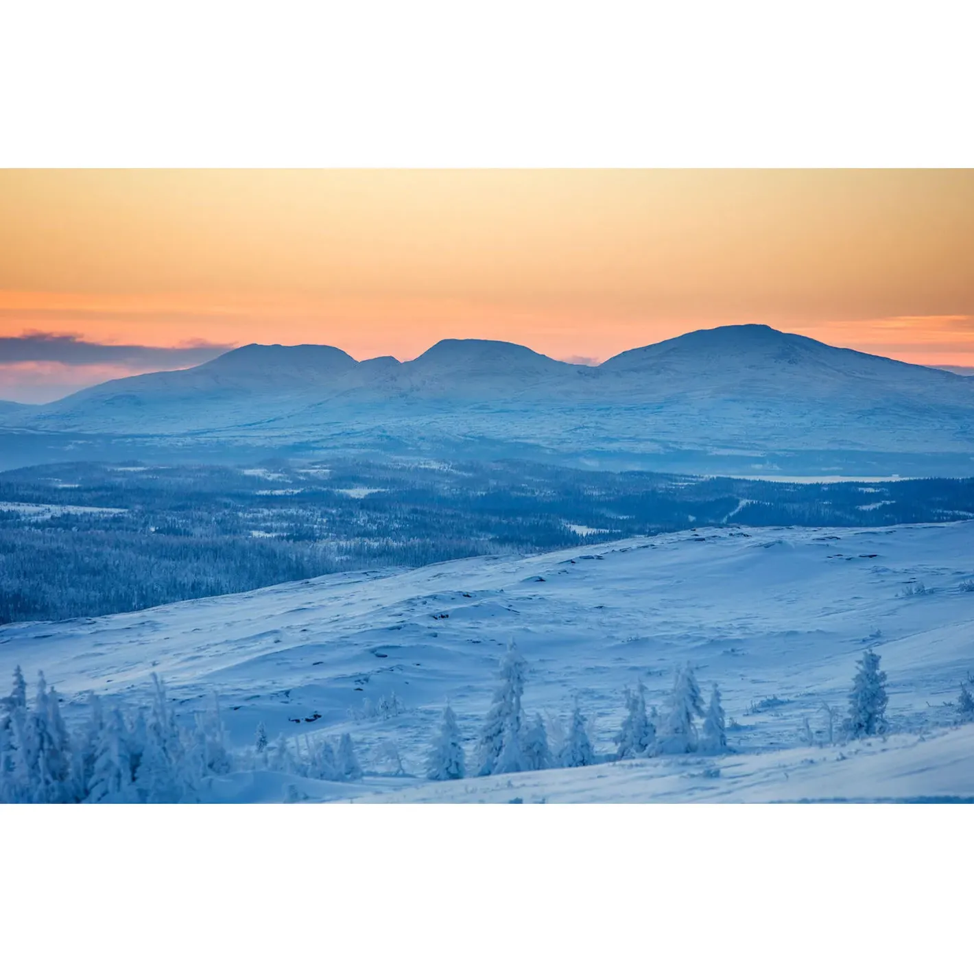 Et Grønnere Valg Dunsoveposer<Fjällräven Polar -30 Sleeping Bag Orange (BURNT ORANGE/212)