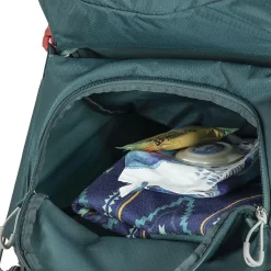 Osprey Barnebærestole<Poco LT Child Carrier Sort (BLACK)