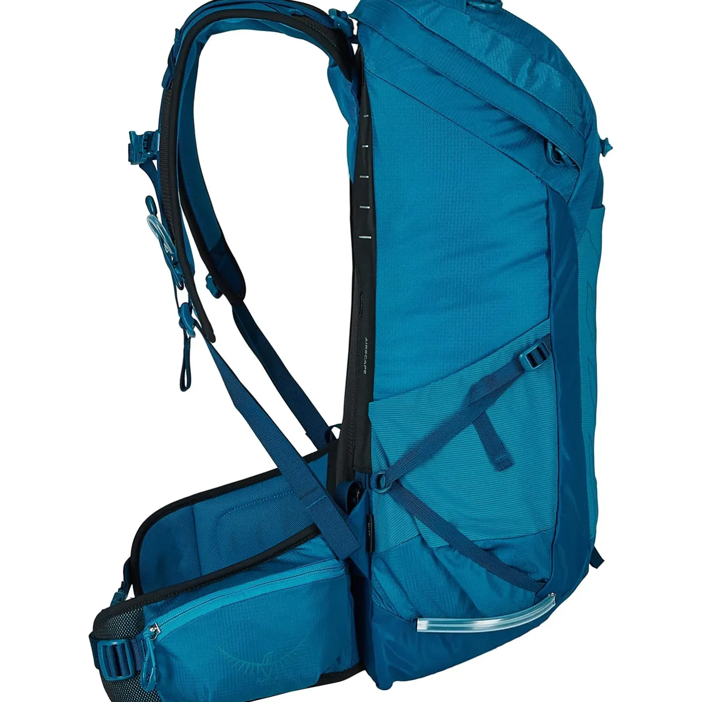 Osprey Små Rygsække<Talon 26 Blå (SCORIA BLUE/NIGHT SHIFT)