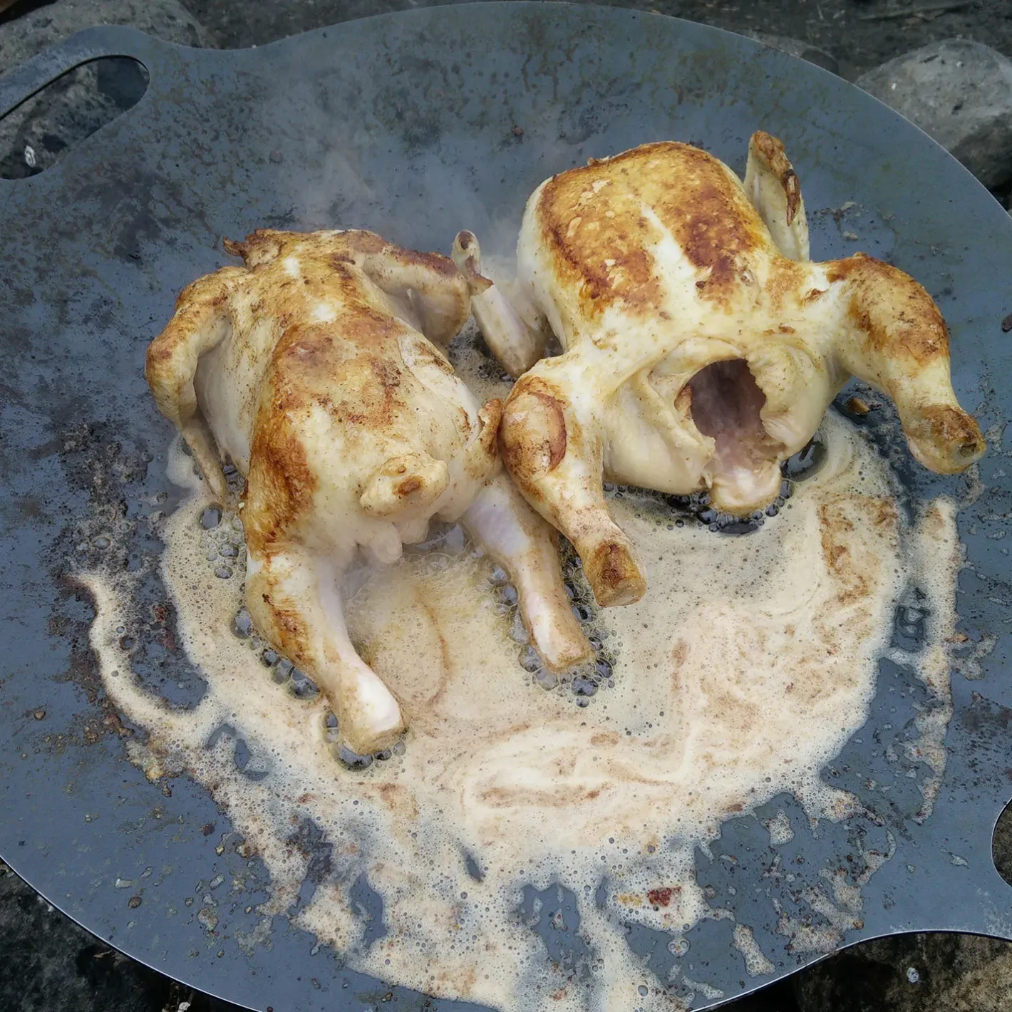 Petromax Udstyr Til Bålmad|Gryder Og Pander<Griddle And Fire Bowl Fs38