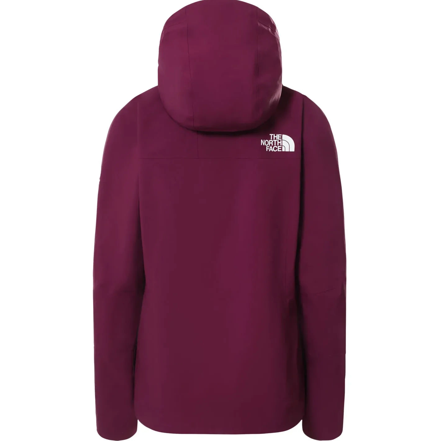The North Face Vandtætte Jakker<Womens Summit Futurelight Jacket Lilla (PAMPLONA PURPLE)
